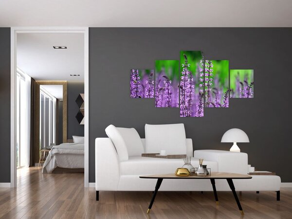 Obraz fioletowych kwiatów polnych (125x70 cm)