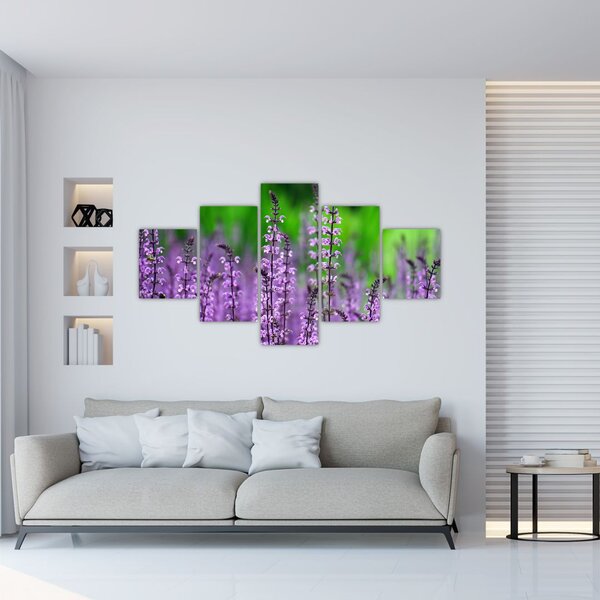Obraz fioletowych kwiatów polnych (125x70 cm)