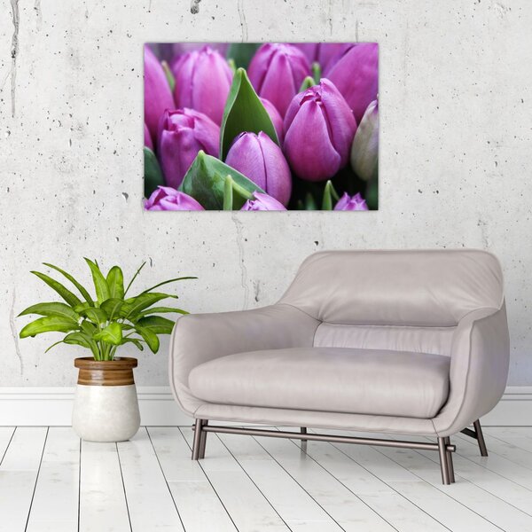 Obraz - kwiaty tulipanów (70x50 cm)