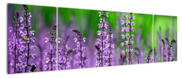Obraz fioletowych kwiatów polnych (170x50 cm)
