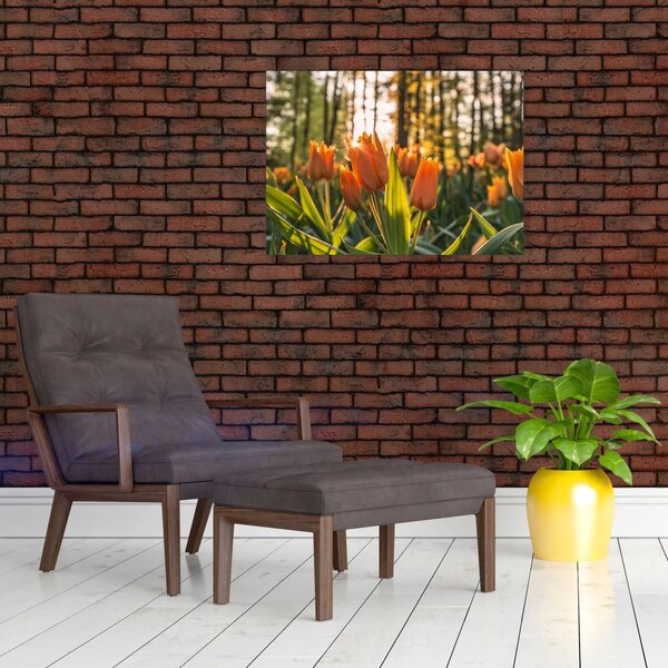 Obraz - kwiaty tulipanów (70x50 cm)