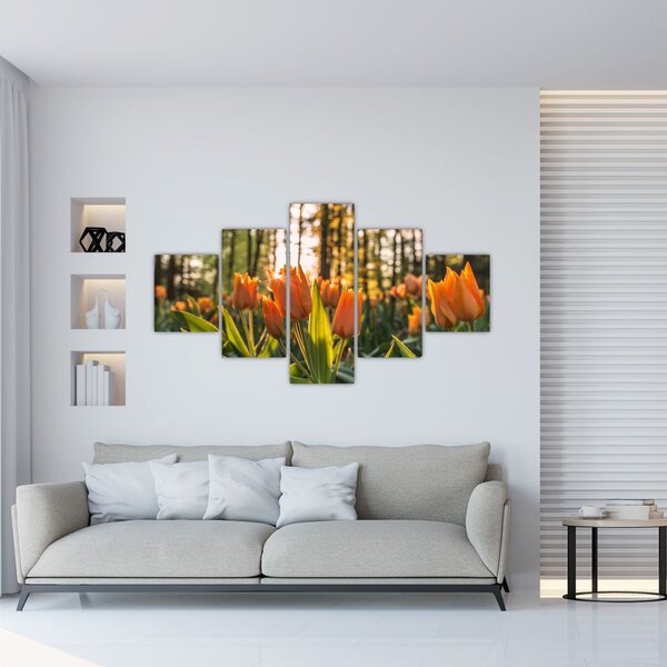 Obraz - kwiaty tulipanów (125x70 cm)