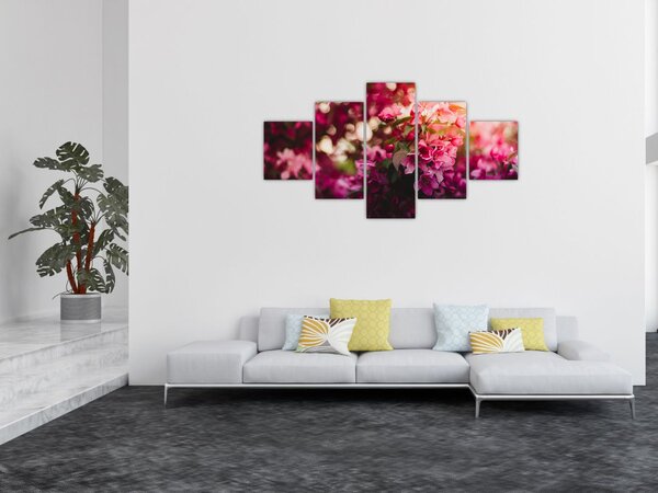 Obraz kwiatów malwy (125x70 cm)