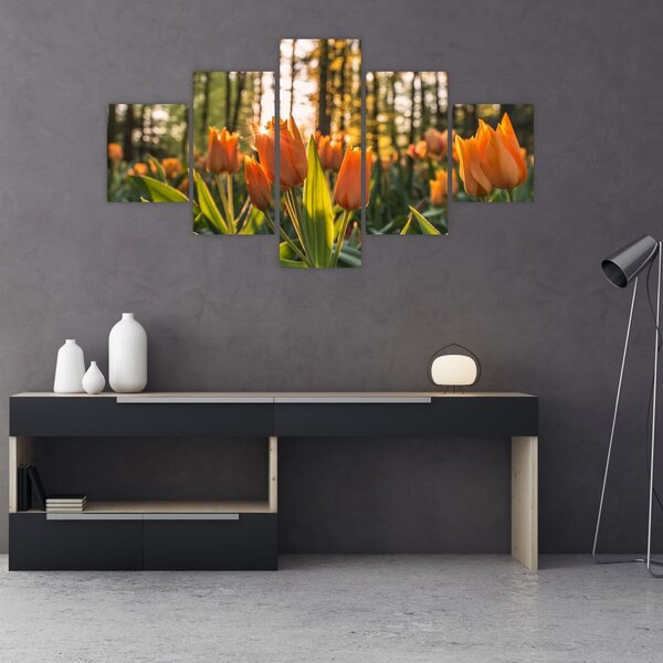Obraz - kwiaty tulipanów (125x70 cm)