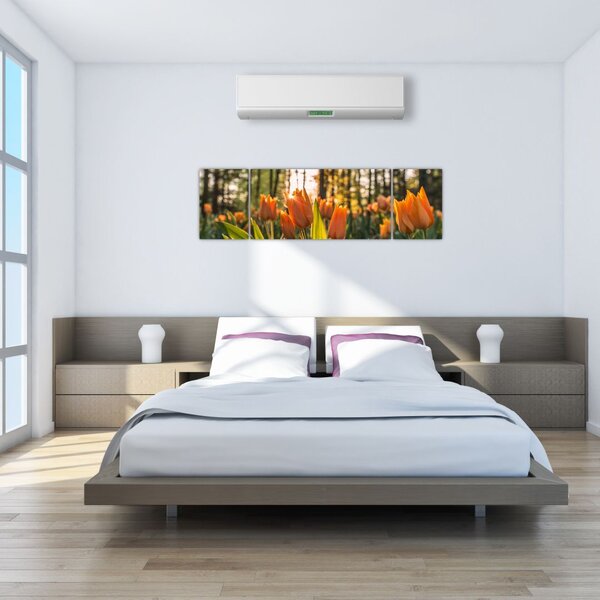 Obraz - kwiaty tulipanów (170x50 cm)