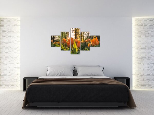 Obraz - kwiaty tulipanów (125x70 cm)