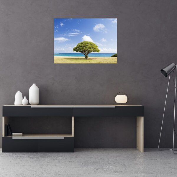 Obraz plaży z drzewem (70x50 cm)