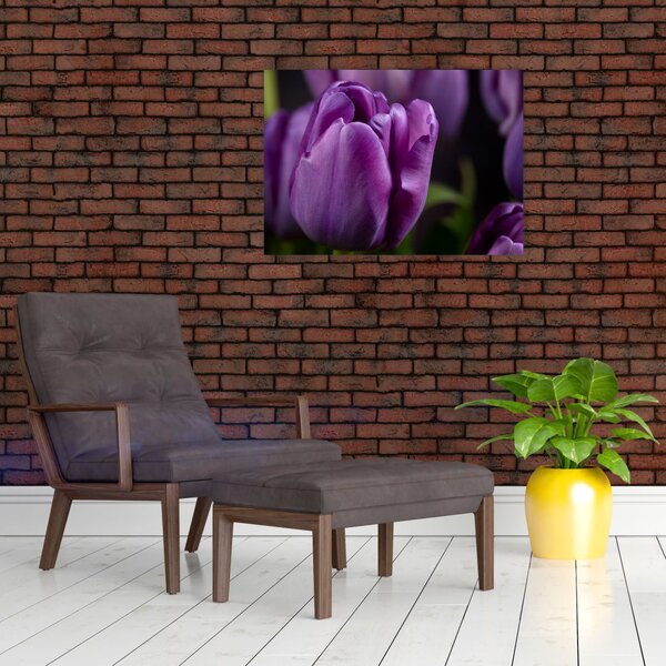 Obraz kwiatów tulipanów (70x50 cm)
