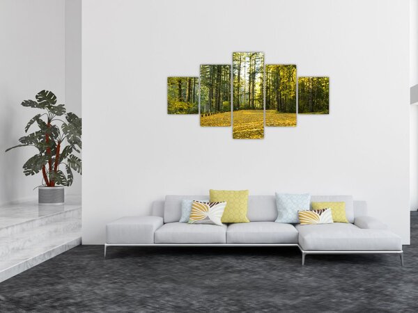 Obraz - las jesienią (125x70 cm)