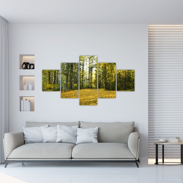 Obraz - las jesienią (125x70 cm)