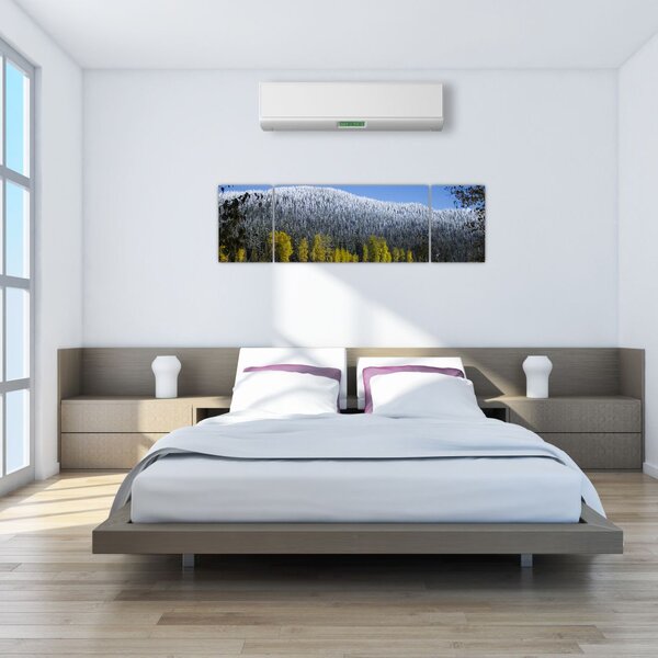 Obraz - ośnieżone góry zimą (170x50 cm)