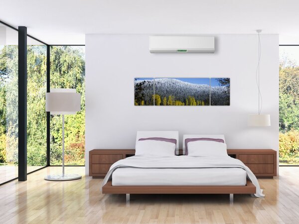 Obraz - ośnieżone góry zimą (170x50 cm)
