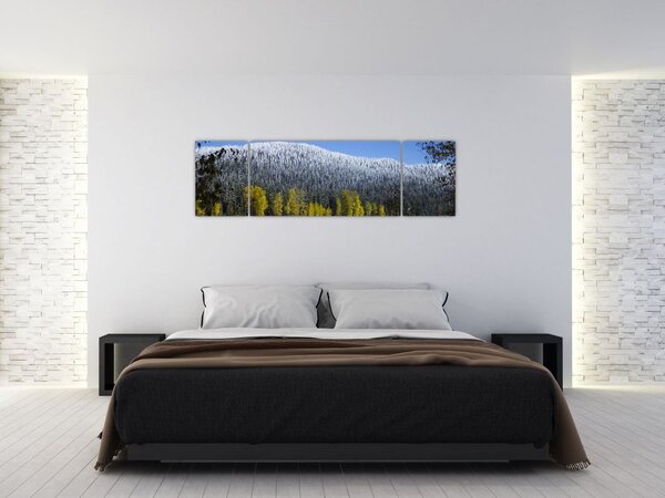 Obraz - ośnieżone góry zimą (170x50 cm)