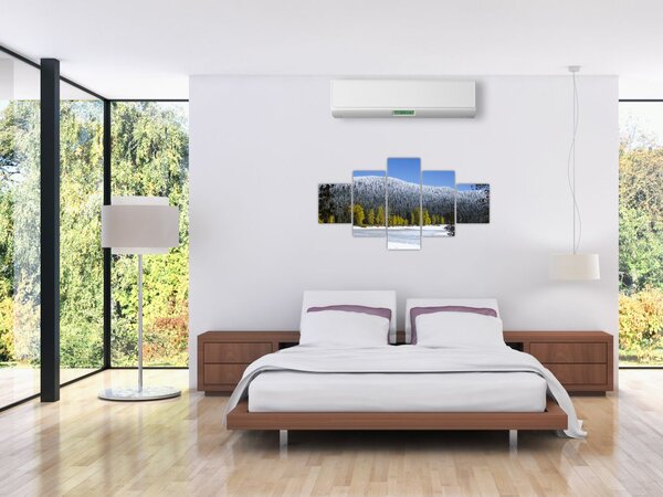 Obraz - ośnieżone góry zimą (125x70 cm)