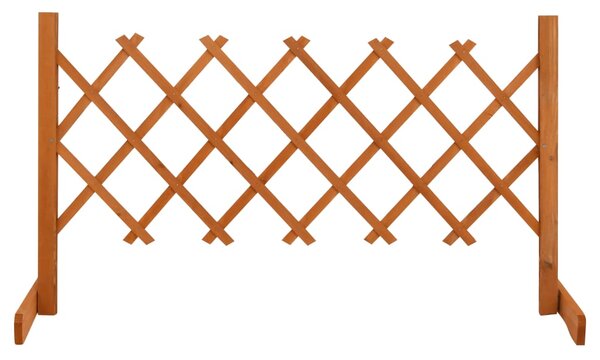 Ogrodowy płot kratkowy, pomarańczowy, 120x60 cm, drewno jodłowe