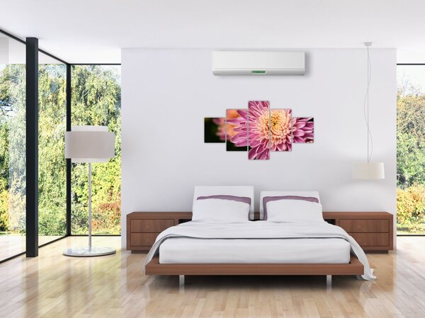 Szczegółowy obraz kwiatu (125x70 cm)