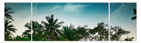Obraz - palmy (170x50 cm)