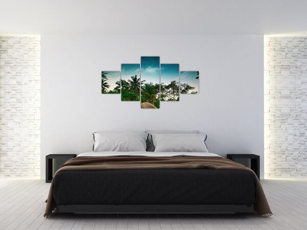 Obraz - palmy (125x70 cm)