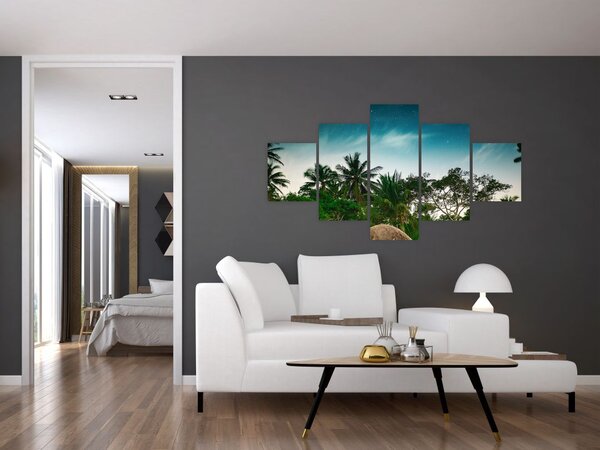 Obraz - palmy (125x70 cm)