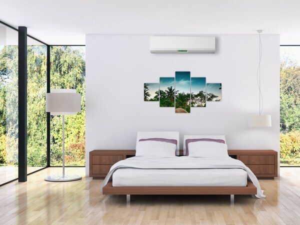 Obraz - palmy (125x70 cm)