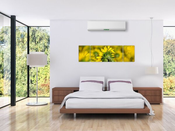 Obraz słonecznika (170x50 cm)
