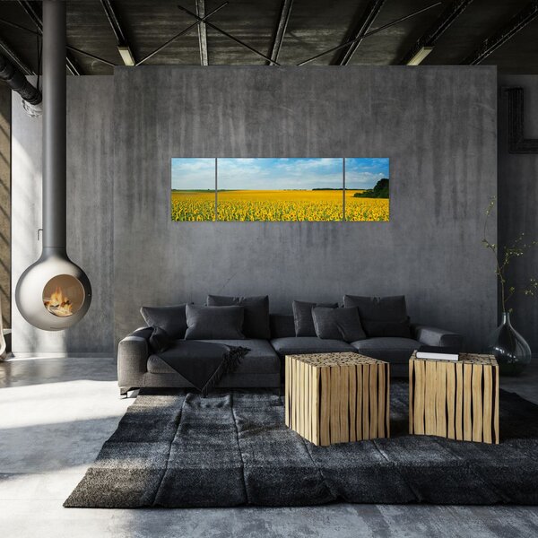Obraz - ciąg słoneczników (170x50 cm)
