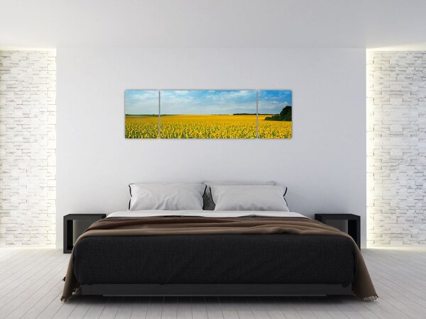 Obraz - ciąg słoneczników (170x50 cm)