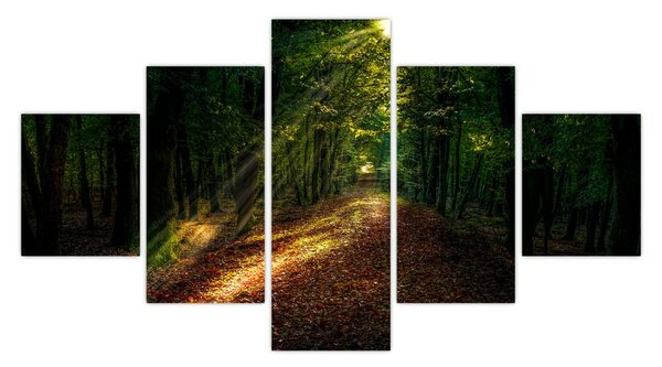 Obraz leśnej ścieżki (125x70 cm)
