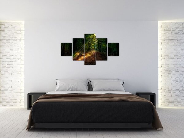 Obraz leśnej ścieżki (125x70 cm)