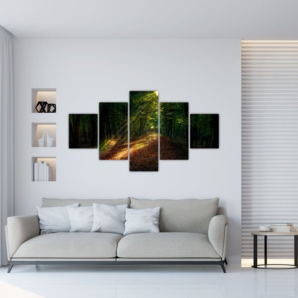 Obraz leśnej ścieżki (125x70 cm)