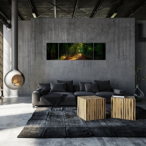Obraz leśnej ścieżki (170x50 cm)