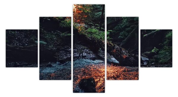 Obraz górskiej rzeki (125x70 cm)