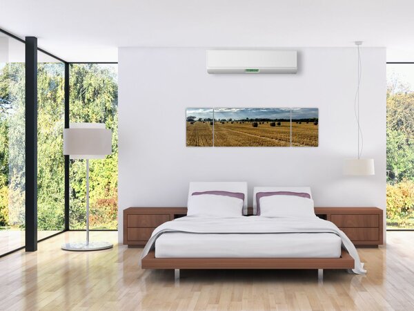 Obraz zebranego pola zboża (170x50 cm)