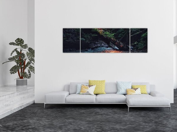 Obraz górskiej rzeki (170x50 cm)