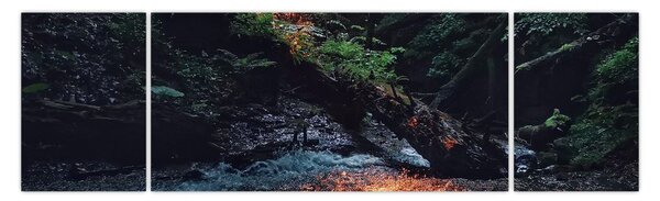 Obraz górskiej rzeki (170x50 cm)