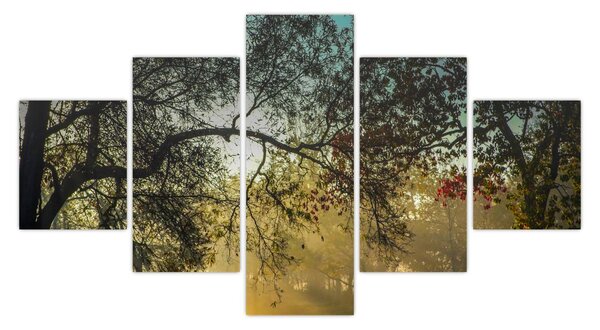 Obraz wschodu słońca (125x70 cm)