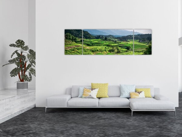 Obraz pól ryżowych (170x50 cm)
