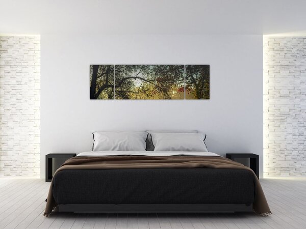 Obraz wschodu słońca (170x50 cm)