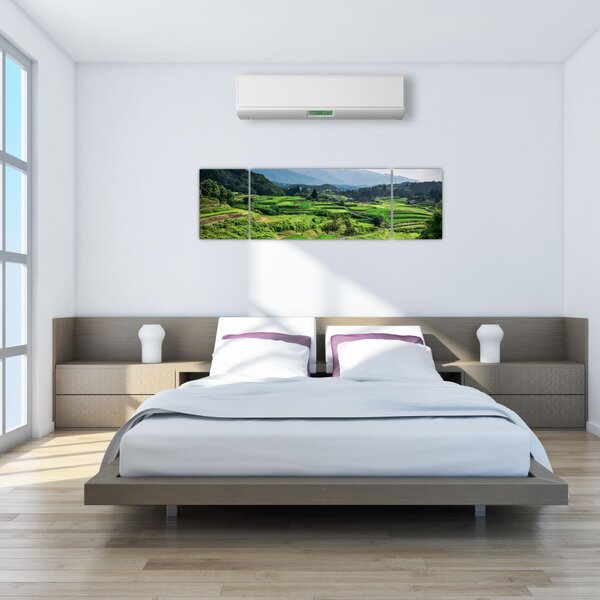 Obraz pól ryżowych (170x50 cm)