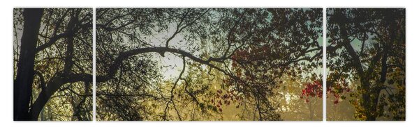 Obraz wschodu słońca (170x50 cm)