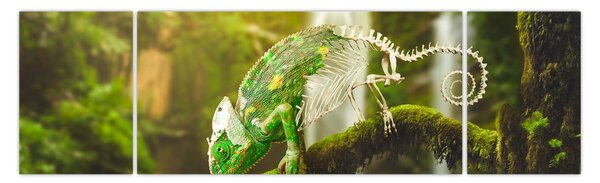 Obraz jaszczurki (170x50 cm)