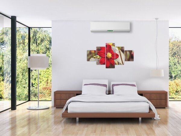 Obraz kwiatu (125x70 cm)