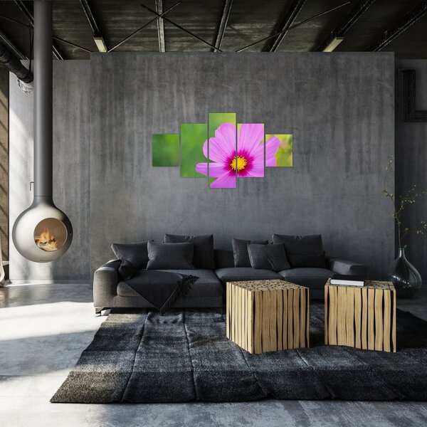 Obraz - polny kwiat (125x70 cm)