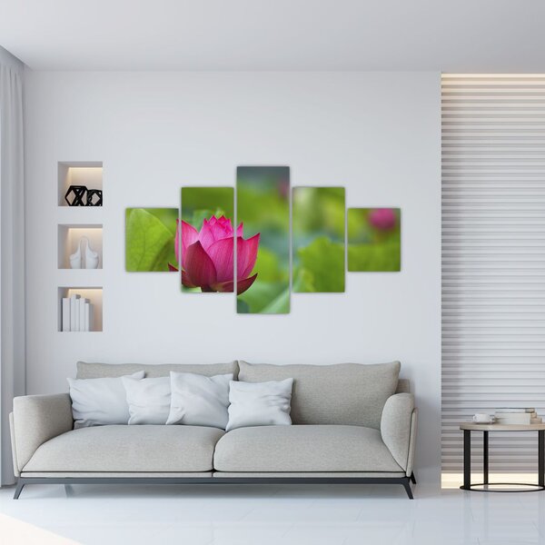 Obraz - roślina wodna (125x70 cm)