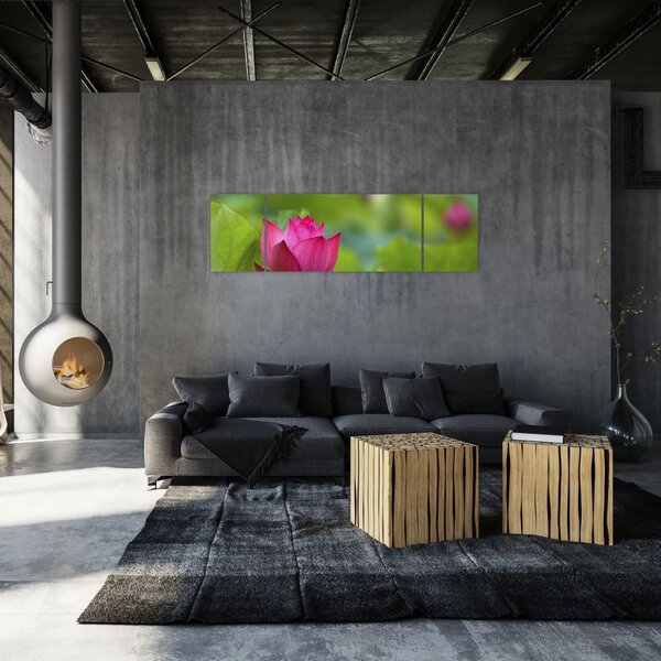 Obraz - roślina wodna (170x50 cm)