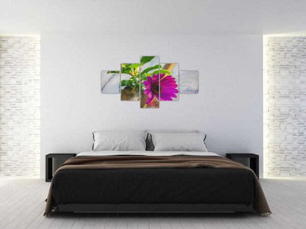 Obraz ciętego kwiatu (125x70 cm)