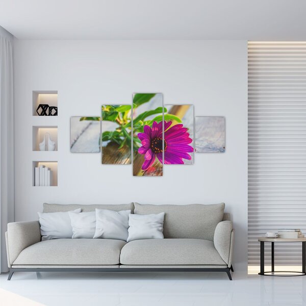 Obraz ciętego kwiatu (125x70 cm)