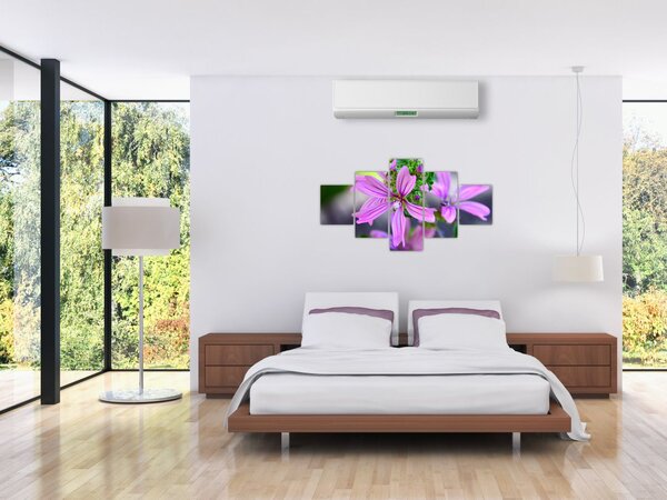 Zbliżenie kwiatu (125x70 cm)