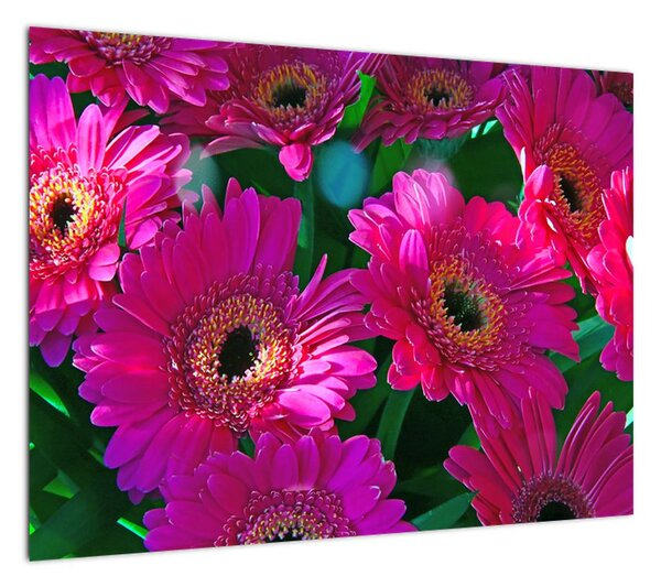 Obraz - kwiaty (70x50 cm)