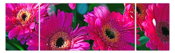 Obraz - kwiaty (170x50 cm)